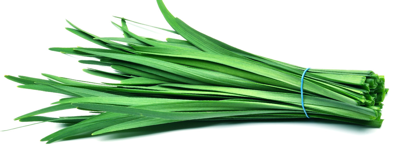 Garden-Leek
