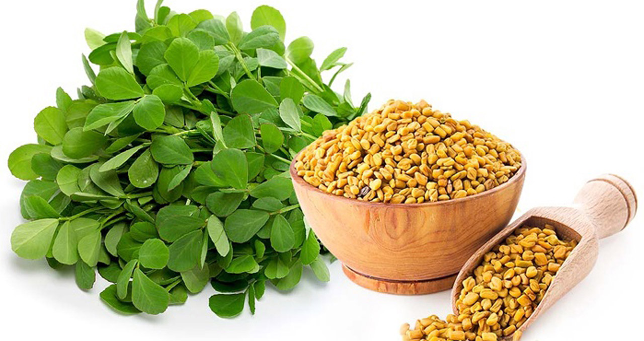 Fenugreek